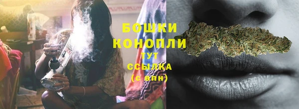 СК Кодинск