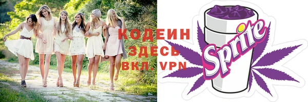 СК Кодинск