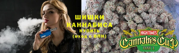 СК Кодинск