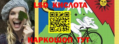 винт Гатчина