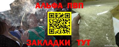 сатива Гай