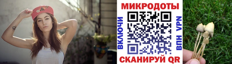 Галлюциногенные грибы Cubensis  Лысьва 