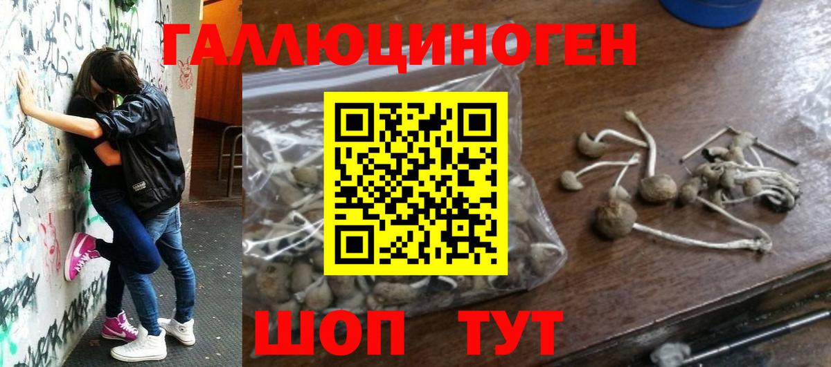 Псилоцибиновые грибы мицелий Лысьва